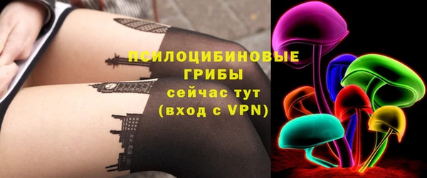 мяу мяу мука Абаза