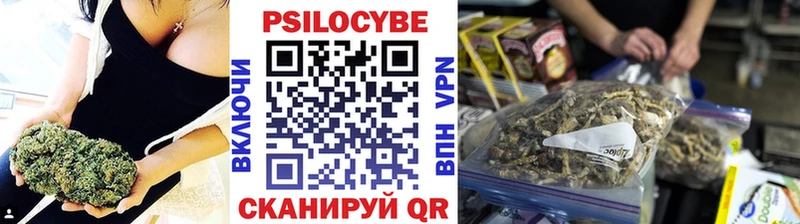 Псилоцибиновые грибы MAGIC MUSHROOMS  Тбилисская 